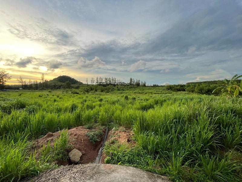 #ขายที่ดินเมืองชล ชลบุรี ขนาดที่ดิน 100 ไร่ /2แปลง มีเอกสาร รง. ติดนิคมอีสเทิร์นซีบอร์ด ระยอง สีม่วง  1