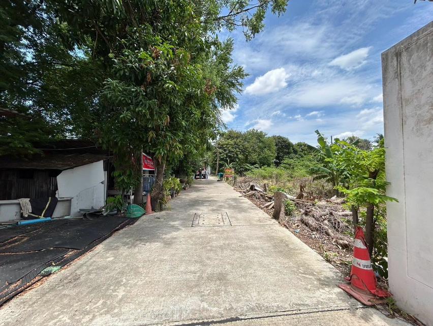 ขายด่วนที่ดินฉิมพลี 403 ตรว ติดถนนคอนกรีต ถมแล้ว ซ.ฉิมพลี 8 ตลิ่งชัน กรุงเทพฯ 8