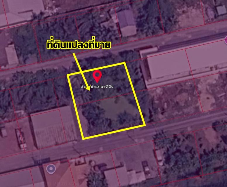 ขายที่ดินเปล่า ซอยชุมชนทหารบก คลอง9 ลำลูกกา 6