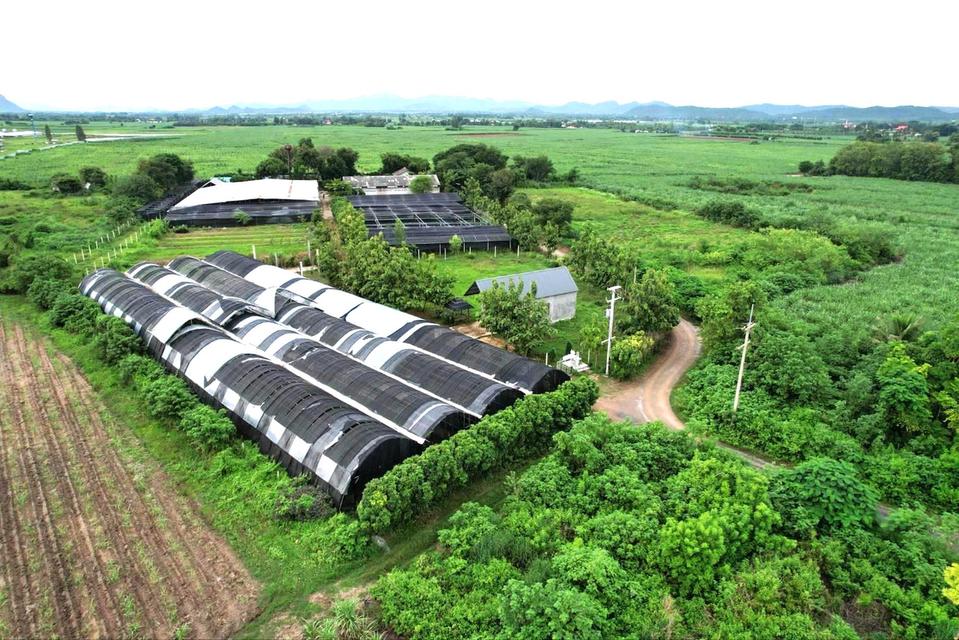 ขายที่ดินสวย ลดราคาพิเศษ พร้อมสิ่งปลูกสร้าง โรงเรือน 9 ไร่ ต.บ้านใหม่ อ.ท่าม่วง จ.กาญจนบุรี 1