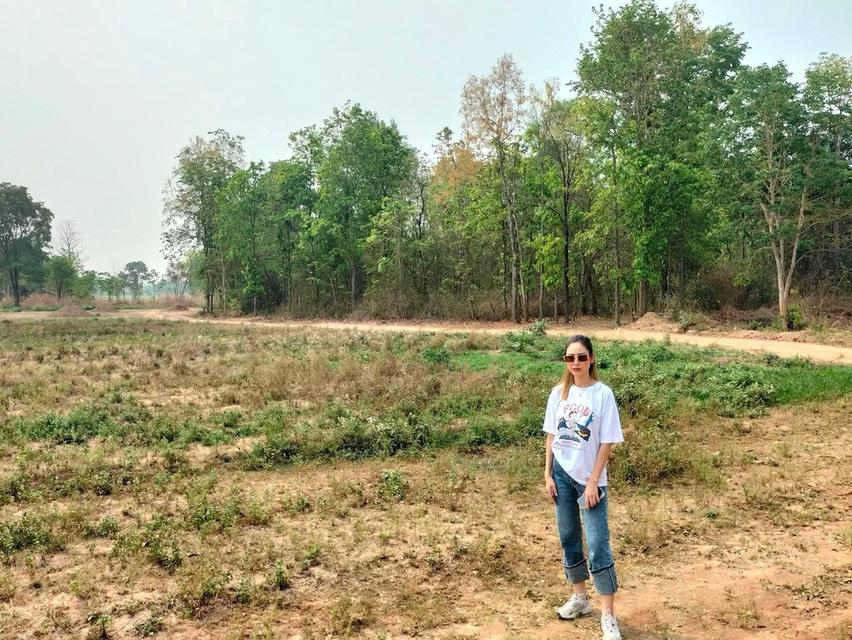 ที่ดินจังหวัดหนองบัวลำภู โฉนดฑรุตแดง 17 ไร่ 1