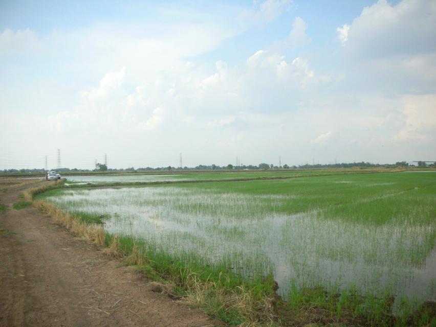 ต้องการขายที่ดิน ใกล้ทางด่วนบางปะอิน-โคราช  บางปะอิน  33 ไร่ 2 งาน 2 ตรว 15