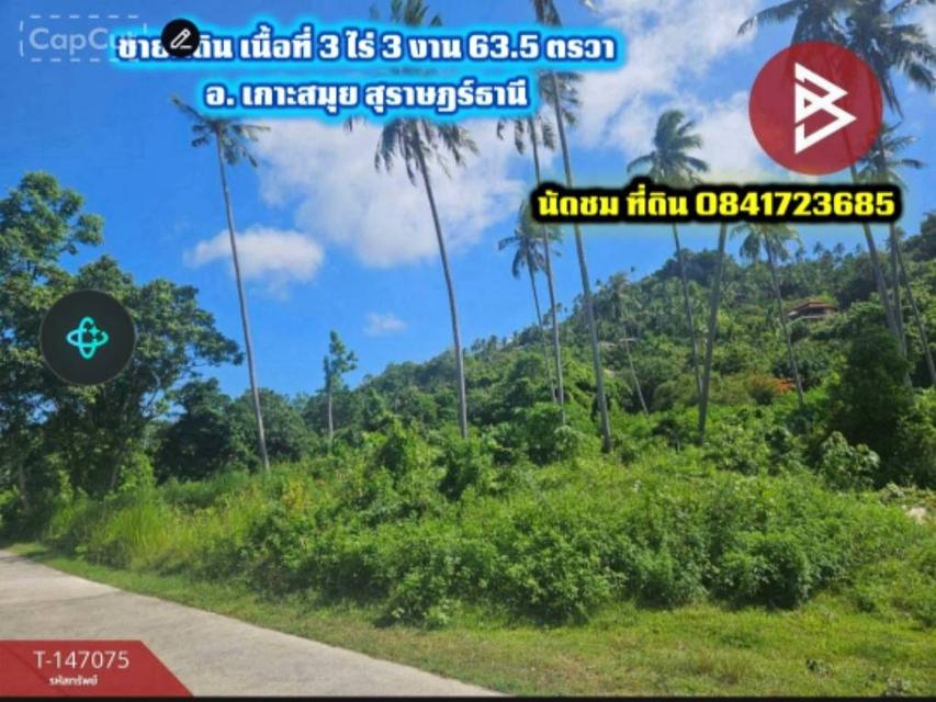ขายที่ดิน เนื้อที่ 3 ไร่ 3 งาน 63.5 ตารางวา ตำบลหน้าเมือง อำเภอเกาะสมุย สุราษฎร์ธานี 1