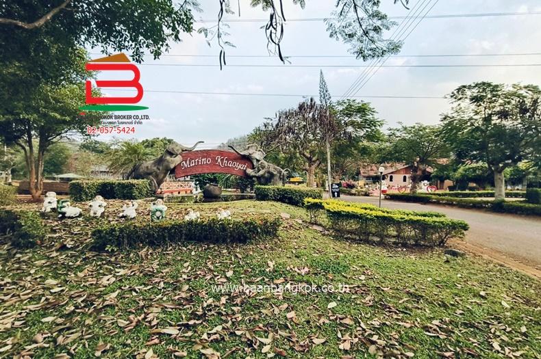 ที่ดินเปล่า โครงการ มาริโน่ เขาใหญ่ เนื้อที่ 4-1-64 ไร่ ถนนมิตรภาพ ตำบลหนองน้ำแดง อำเภอปากช่อง จังหวัดนครราชสีมา 1