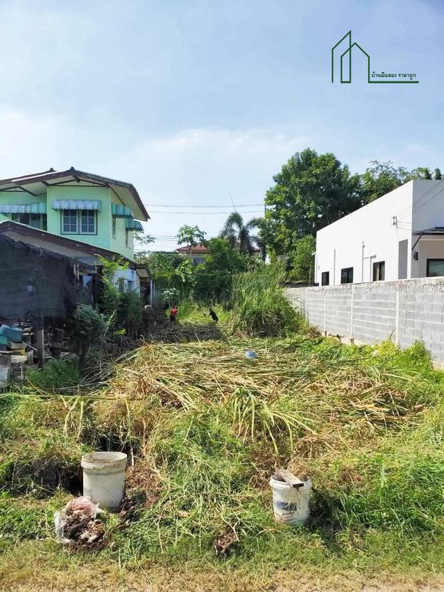 ที่ดิน 50 ตรว.ซอยวัดส้มเกลี้ยง บางกรวย นนทบุรี