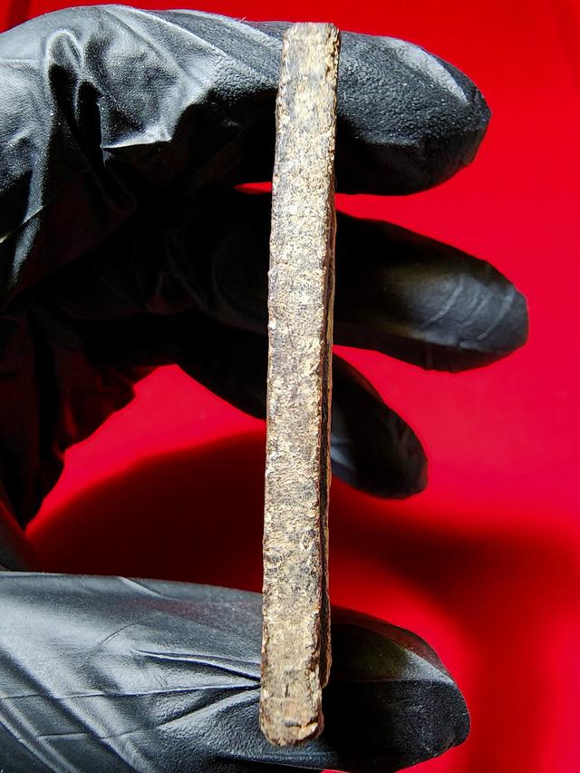 พระสมเด็จปรกโพธิ์ 9 ใบ หลังพระแม่ธรณ ผงตะไบทอง หลวงพ่อกวย รูปที่ 2