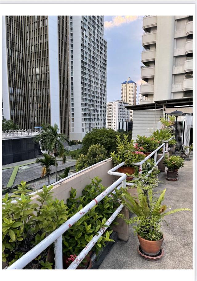 Sale Land with old building early Sukhumvit can adapt luxury house,condo or etc 4