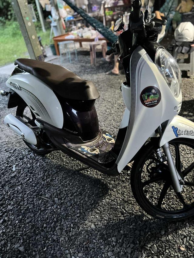 Honda Scoopy i