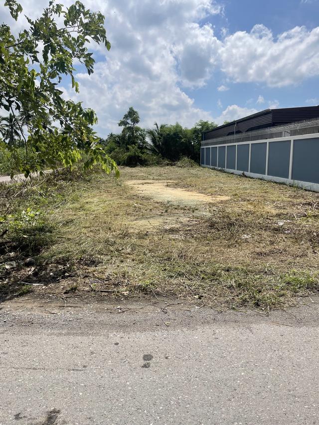 📣 ประกาศขายที่ดิน ทำเลดี สามพราน นครปฐม 📣🏡 ที่ดินขนาด 1 งาน (100 ตร.ว.)📍 4