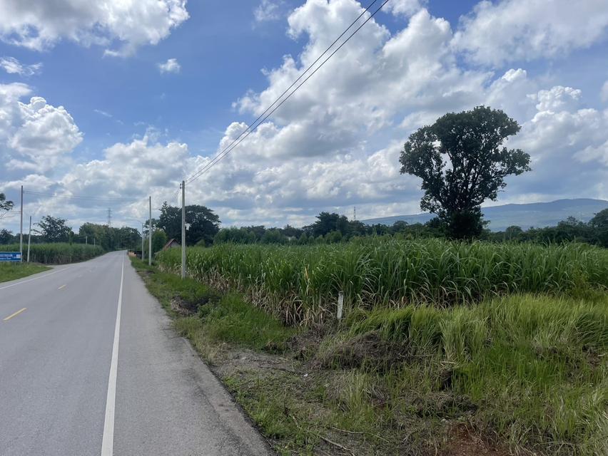 ที่ดินติดถนน เส้นบ้านไทรงามมุ่งหน้าอำเภอคอนสวรรค์ ที่ดินอยู่ในเขตอำเภอเมืองชัยภูมิ โทร 0939694146 9