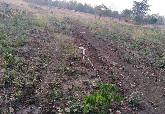 ขายที่ดิน ตลุกกลางทุ่ง เมืองตาก เนื้อที่ 24-2-20 ไร่ ถมแล้ว ราคาถูก 3