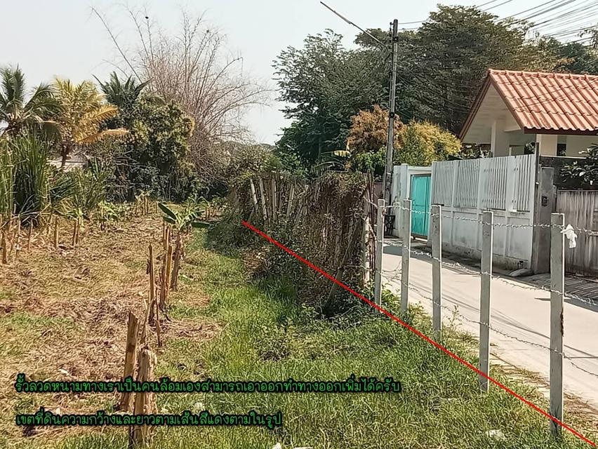 ที่ดินเปล่า/ไม่แบ่งขาย 8