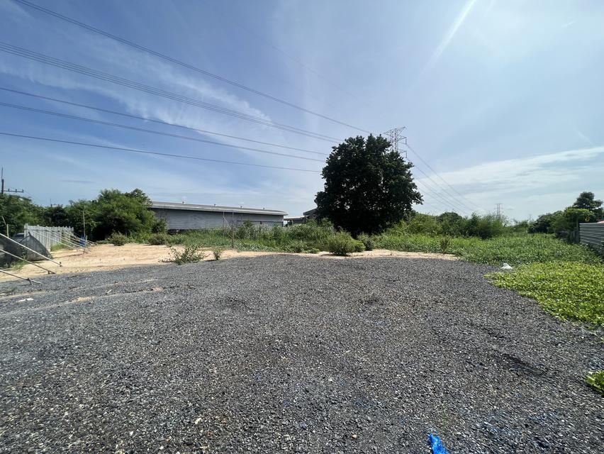 ที่ดินรังสิต 12.5 ไร่ คลองสอง คลองหลวง 2