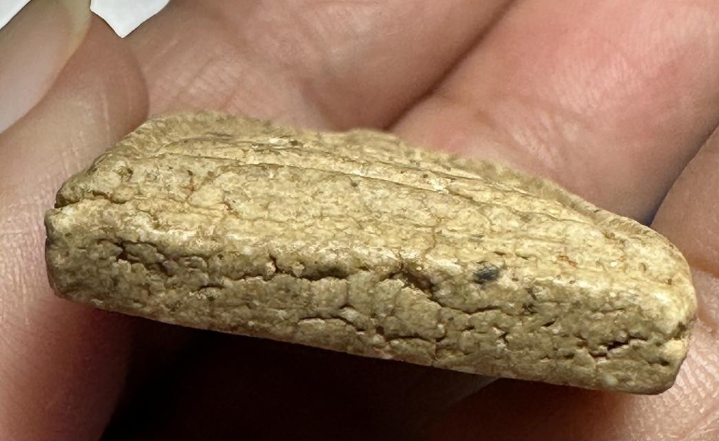 พระ สมเด็จพิมพ์ใหญ่ เนื้อดี 7