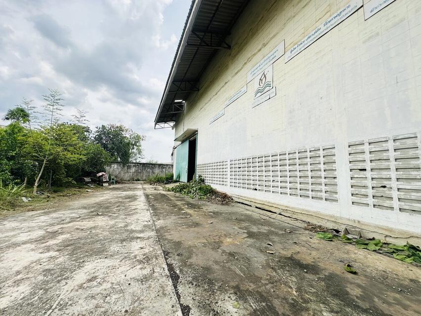 ขายโรงงาน 2 หลัง มี รง.4 เนื้อที่ 2-3-82 ไร่ ซอยสุขาภิบาล 2 ถนนพุทธมณฑลสาย 4 ตำบลอ้อมน้อย อำเภอกระทุ่มแบน จังหวัดสมุทรสาคร 4