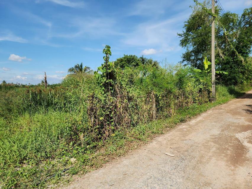 ที่ดินใกล้สนามบินสุวรรณภูมิ 3