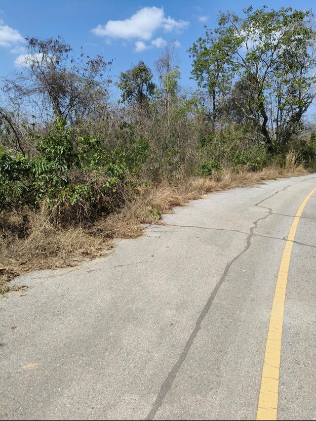 ที่ดิน พื้นที่สีม่วง 112ไร่ 5