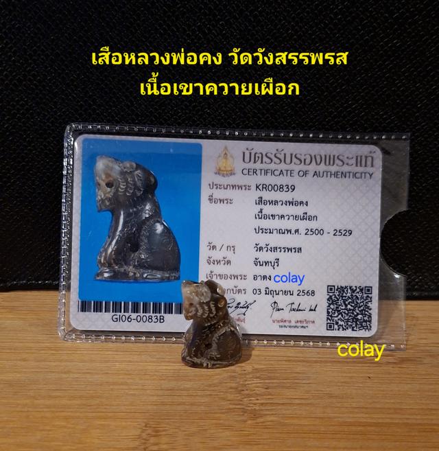 เสือหลวงพ่อคง วัดวังสรรพรส