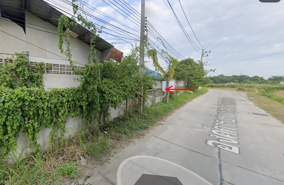 ที่ดินผังสีชมพู หนองข้างของ ชลบุรี 3