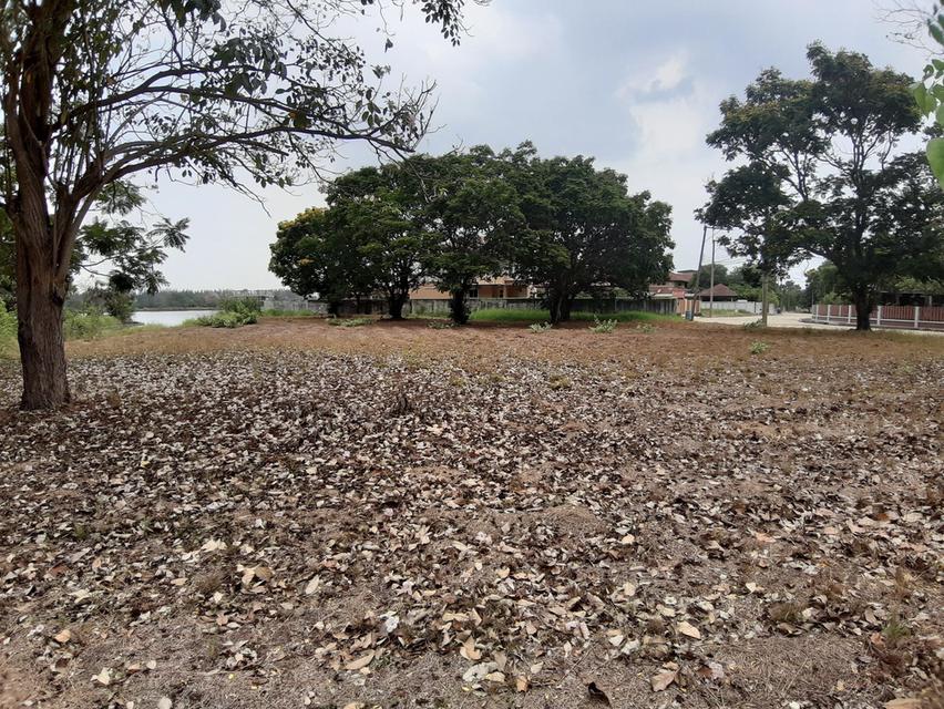 ⛳ขายที่ดินเปล่าเหมาะสำหรับปลูกสร้างบ้าน ในโครงการหมู่บ้านเดอะลากูน1 อำเภอสามโคก จังหวัดปทุมธานี ติดละเลสาป ⛳ 9