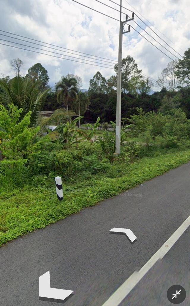 ขายที่ดินพร้อมสิ่งปลูกสร้าง 8 ไร่ ติดถนนใหญ่ อ.พรหมคีรี จ.นครศรีธรรมราช 3