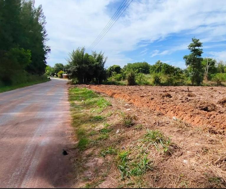 ขายที่ดินบ่อวินซอยตลาดลุงอ้วนเนื้อที่ 5 ไร่ หลังนิคมอีสเทอร์ซีบอร์ด ใกล้ถนนเส้น331-8กม. อ.ศรีราชา ชลบุรี 4