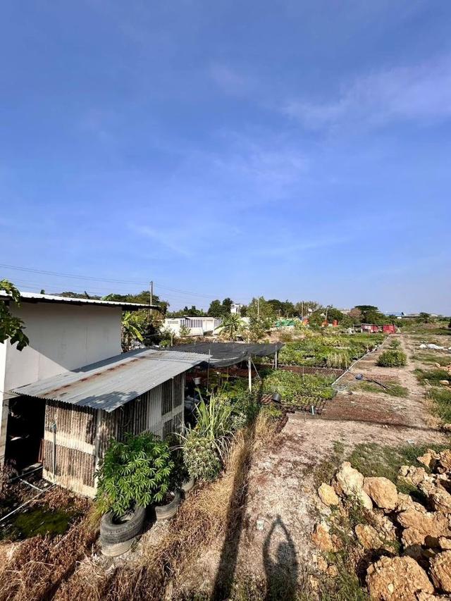 ขายที่ดินพร้อมสิ่งปลูกสร้าง ทำเลทอง 2-2-5.5 ตร.ว. ติดถนนกาญจนาภิเษก อ.บางใหญ่ จ.นนทบุรี หลังโรงถ่ายกันตนา บางใหญ่ 3