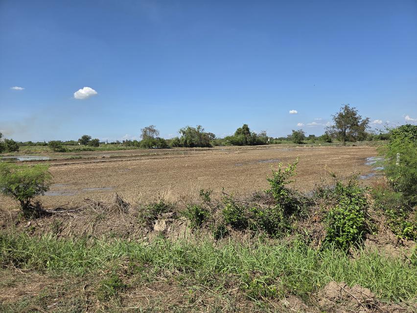 ที่ดิน อ.ภาชี จ.อยุธยา 6