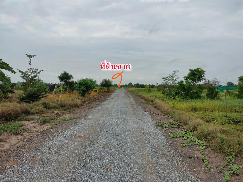 ขายที่ดินเกือบ2ไร่ ใกล้เมืองสุพรรณบุรีเหมาะทำบ้านสวนวิวนา 5