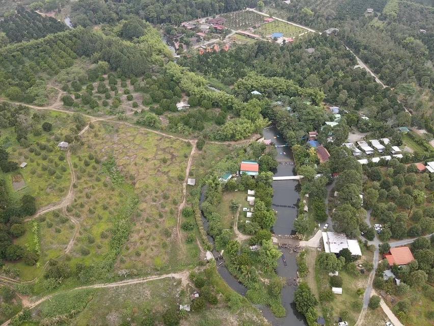 ที่ดินสวนทุเรียน ติดน้ำตกทุ่งเพล  อ.มะขาม จ.จันทบุรี  10 ไร่  ขายราคา 16​ ล้านบาท  สนใจติดต่อ 085-1210072 คุณสุ 2