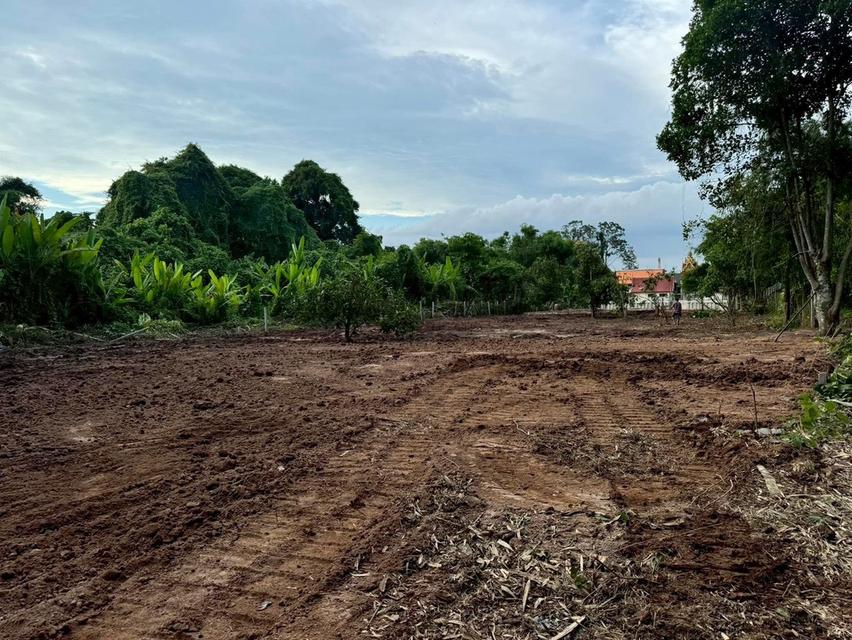 โอกาสพิเศษ ที่ดินริมน้ำนครนายก เกือบ 2 ไร่ ปรับราคาลงเหลือ 4.5 ล้านบาท 14