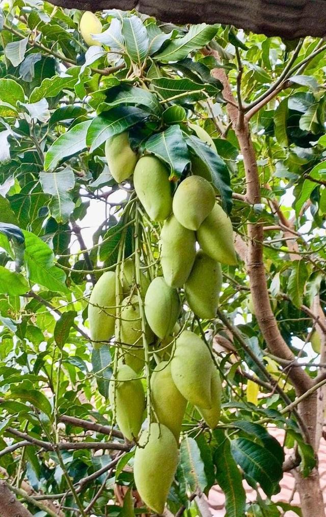 บ้านเดี่ยวพร้อมอยู่ หมู่บ้านเคซีสุวินทวงศ์2 12