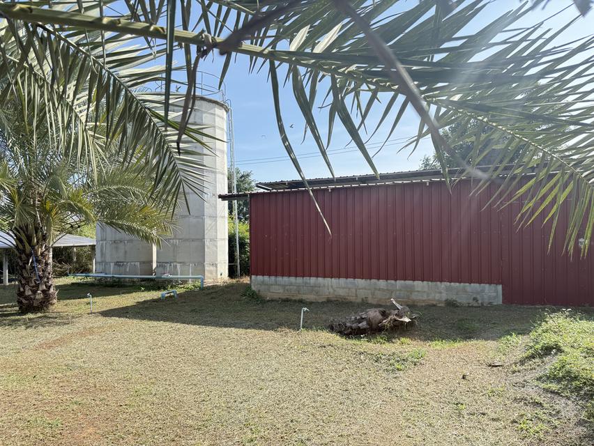 ที่ดิน 9ไร่ 1งาน 38ตารางวา สวนผลไม้ พร้อมบ้าน และสิ่งปลูกสร้าง 2