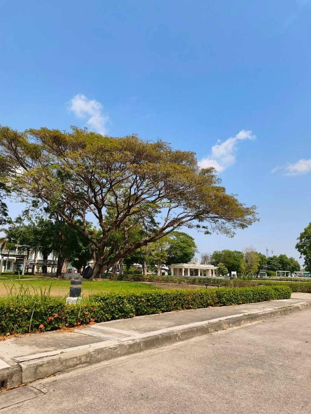 บ้านเดี่ยว หมู่บ้านพฤกษ์ลดา 5