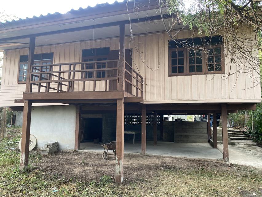 ที่ดิน 2 ไร่ 80 ตร.วา พร้อมบ้าน 2 หลัง อ. หนองหญ้าไซ สุพรรณบุรี 4