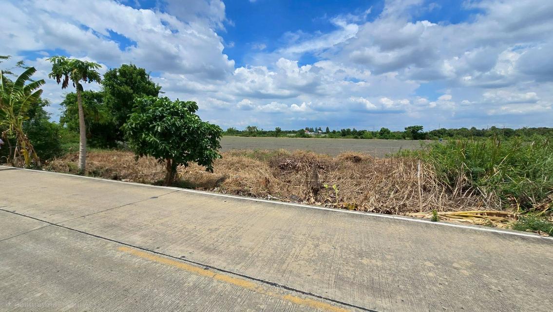 ขายด่วนที่ดิน 100 ตรว ติดถนนสาธารณะ ซ.วัดบัวสุวรรณประดิษฐ์ ลาดหลุมแก้ว ปทุมธานี 6