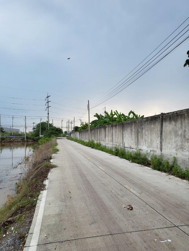 ขายด่วนน ที่ดินไทรน้อย แปลงสวย ทำเลทอง ใก้ลวัดมะสง 2