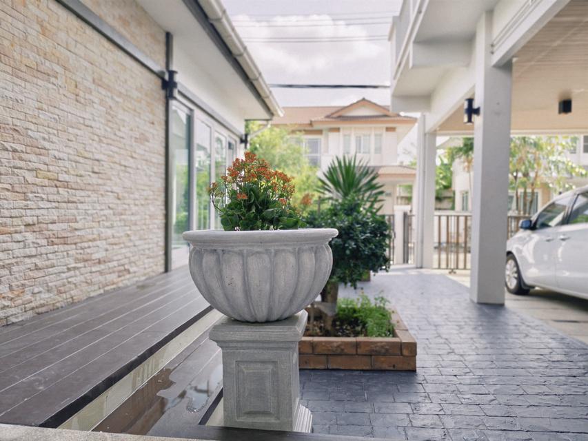 ให้เช่าบ้านเดี่ยว บรรยากาศพักผ่อนจริง ใจกลางกรุงเทพกรีฑา มัณฑนา พระราม 9–ศรีนครินทร์ ซอยกรุงเทพกรีฑา 7 2