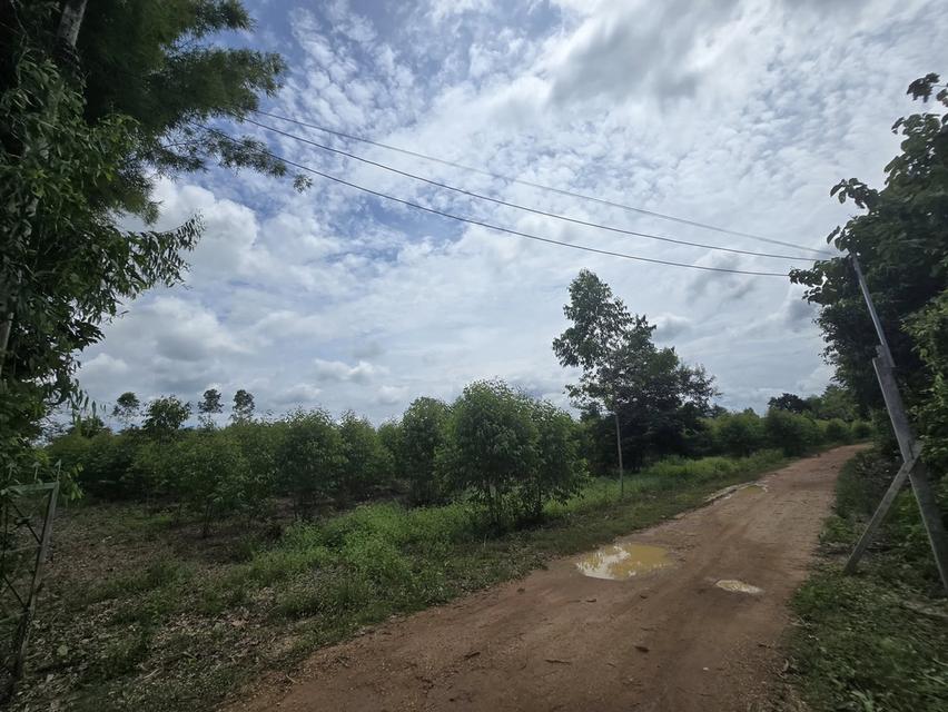 ขายที่ดินเมืองสระแก้ว 3 ไร่ หลังTOYOTAสระแก้ว ใกล้ถนนสุวรรณศร33-800เมตร จ.สระแก้ว 2