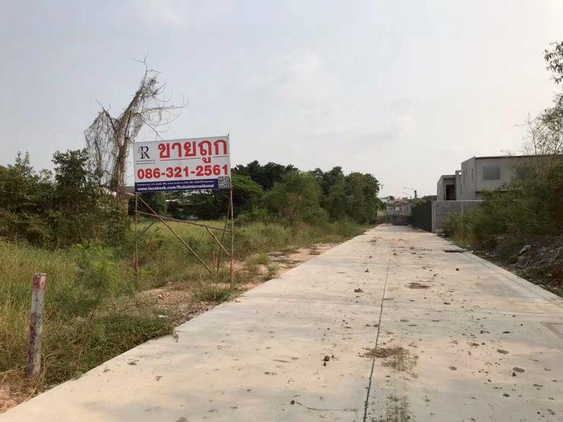 ขายที่ดินติดถนน ทำเลดี เพิ่มสิน 66 ซอยออเงิน จังหวัดกรุงเทพมหานคร #ราคาดีทำเลดีติดต่อผึ้งรติ 061-941-9639 2