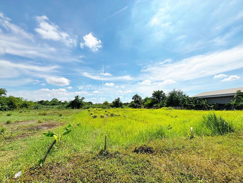 ที่ดินเปล่า เนื้อที่ 2 ไร่ ติดถนนเอราวัณ 1 ต.คลองสอง อ.คลองหลวง จ.ปทุมธานี 10