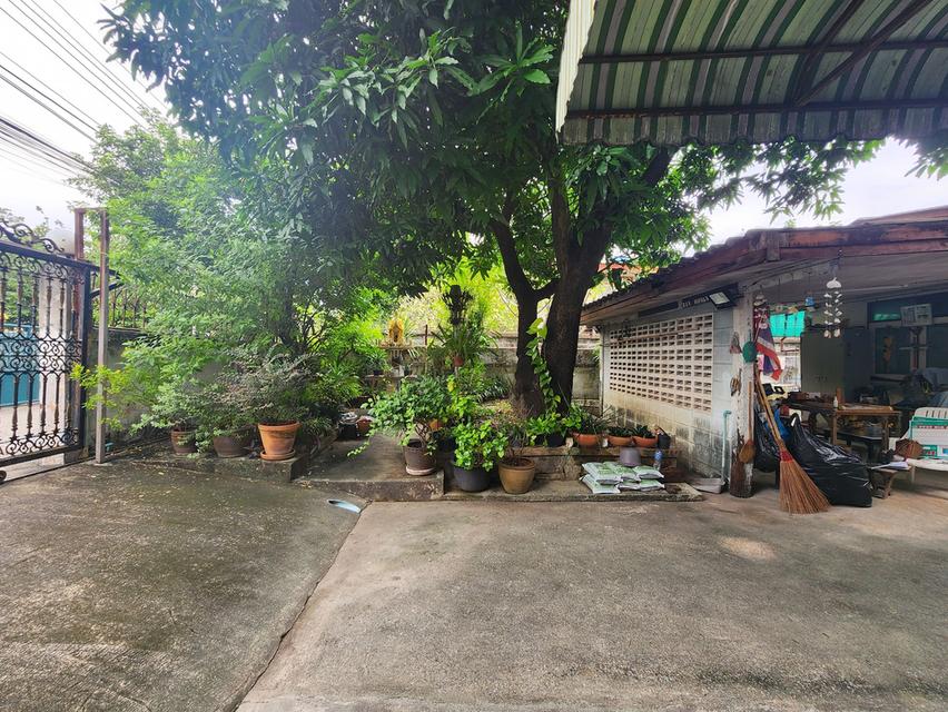 ขายบ้ายเดี่ยวมือสอง ซอยสุภาร่วม 44 ถ.ประชาชื่น แขวงบางซื่อ เขตดุสิต กรุงเทพ เนื้อที่109 ตร.ว. ใกล้รถไฟฟ้าสายสีม่วงสถานีวงศ์สว่าง และเกตเวย์ บางซื่อ 2