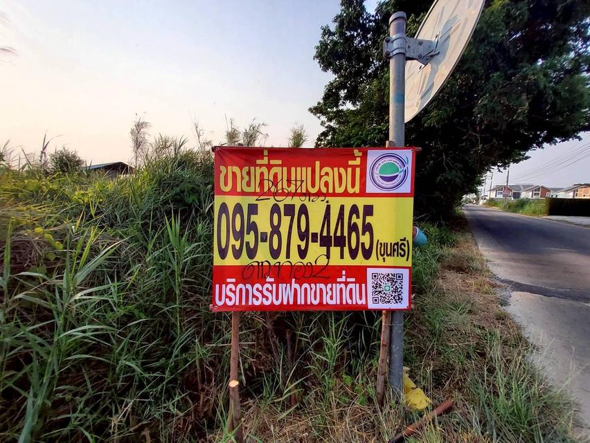 ขายด่วนที่ดิน 267 ตรว ติดถนนคอนกรีตสาธารณะ ซ.ดาวทอง 2 ศาลายา พุทธมณฑล นครปฐม 6