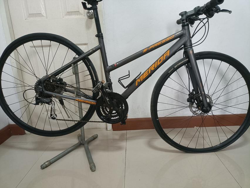Liv,trek,merida ราคาเหมา3คัน