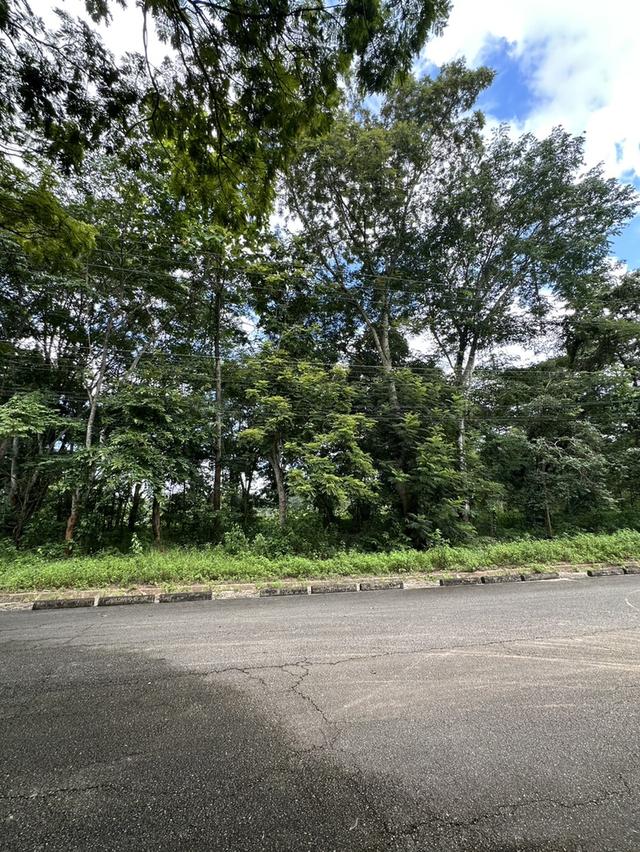 ที่ดินเปล่าติดทะเลสาปในสนามกอล์ฟสันดิบุรีจังหวัดเชียงราย 1