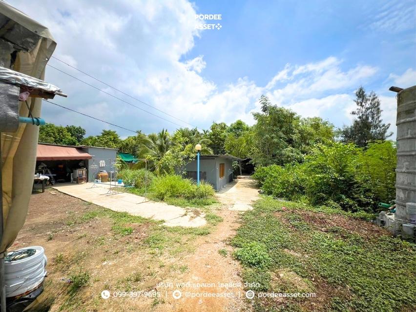 ที่ดินถมแล้ว 1-2-55 ไร่ (655 ตร.ว.) แบ่งขายเริ่มต้น 100 ตร.ว. ซอยรุ่งทรัพย์ (วัดบัวแก้ววนาราม) บ้านปทุม สามโคก ปทุมธานี  6