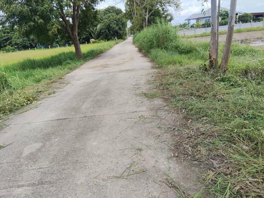 ที่ดิน 7 ไร่ บ้านนา นครนายก 6