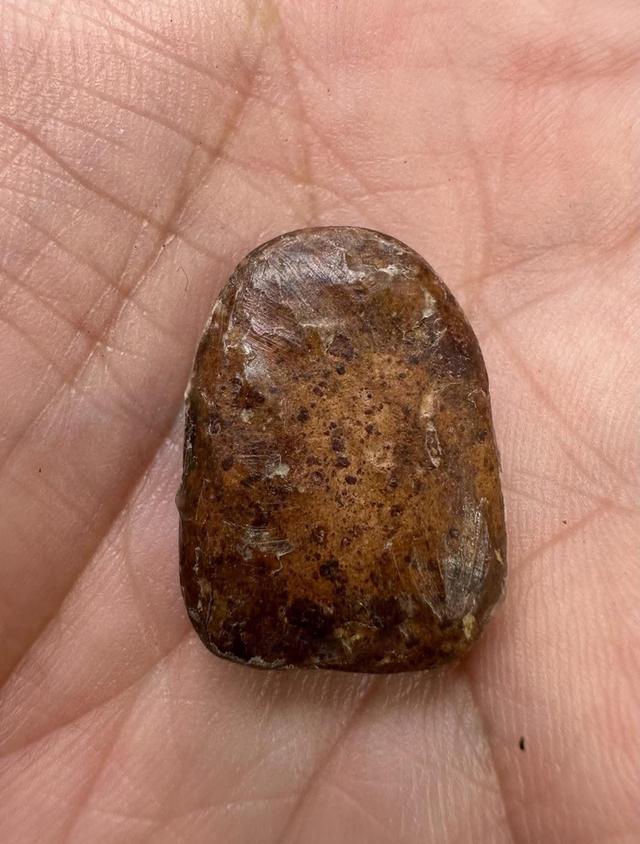 พระกำแพงซุ้มกอ ราคาแบ่งปัน12000 2