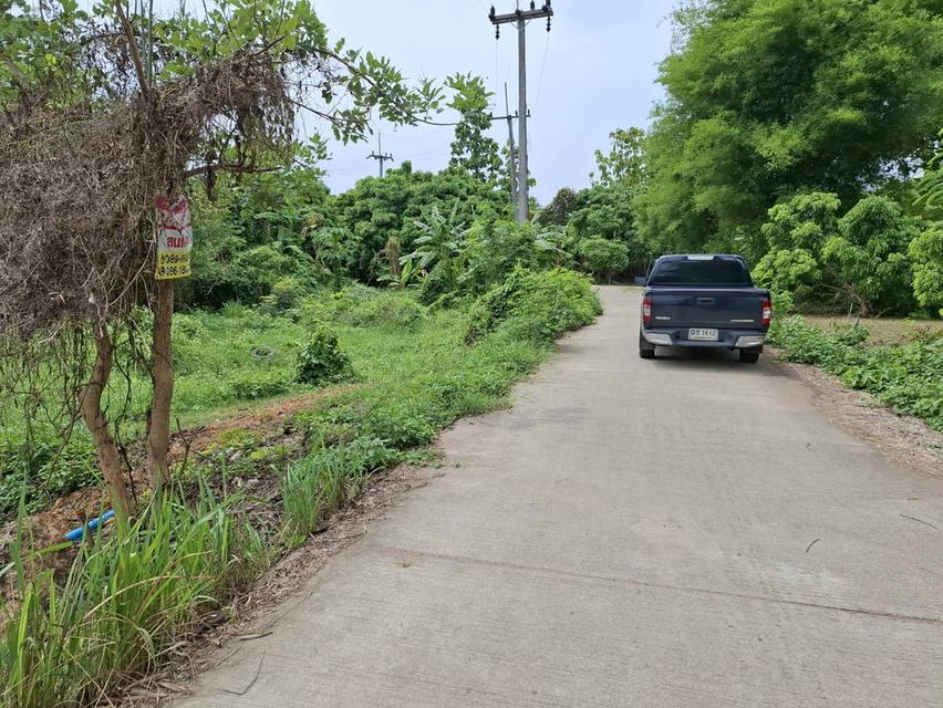 ที่ดินเปล่า 8-1-58 ไร่ 3