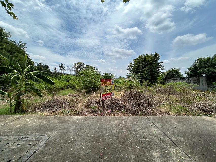 ขายด่วนที่ดินฉิมพลี 403 ตรว ติดถนนคอนกรีต ถมแล้ว ซ.ฉิมพลี 8 ตลิ่งชัน กรุงเทพฯ 1